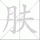 肤