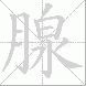 腺