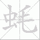 蚝