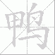 鸭